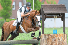 Reiten-Kreismeisterschaften-des-KRV-Coesfeld-Ein-Auftakt-nach-Mass-in-Appelhuelsen_image_1024_width